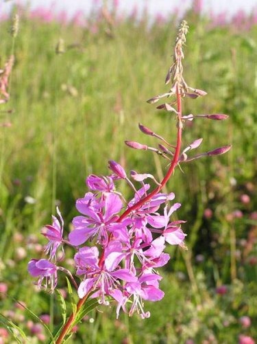 [clip_image006%255B7%255D.jpg]