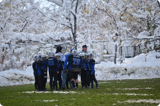 DSC_0131 DSC_0131