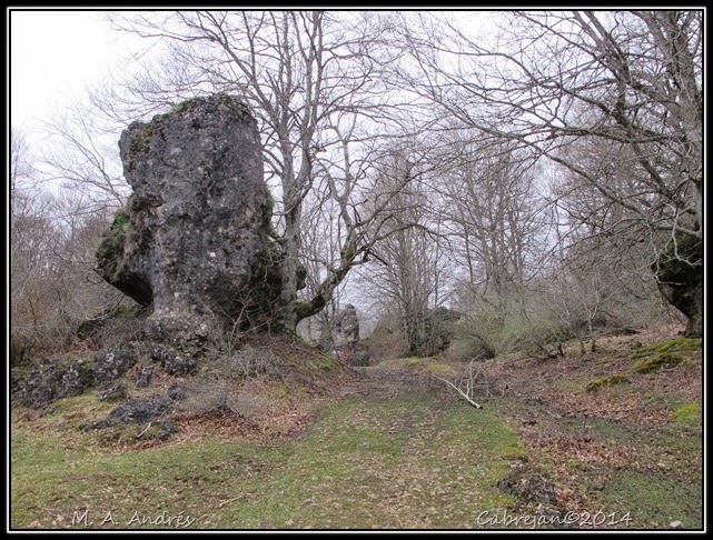 artea 045 artea 045