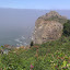 IMAG0174.jpg