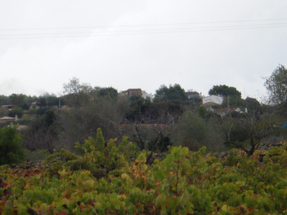 2011_11042231.jpg