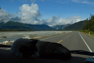 on the road again, up the Chilkat River
