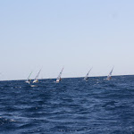 IMG_2882.JPG