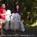 28.07.12 Eesti Ettevõtete Suvemängud Roostal - päev II - AS20120728FSSM_095V.jpg