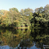 dsc03873.jpg