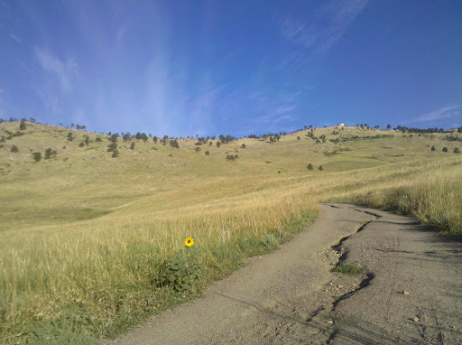 In Boulder, CO at Wonderland Lake Park. This winding, uphill running path was tough, but the scenery made it worth it.