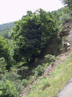 IMG_4789.JPG Photo