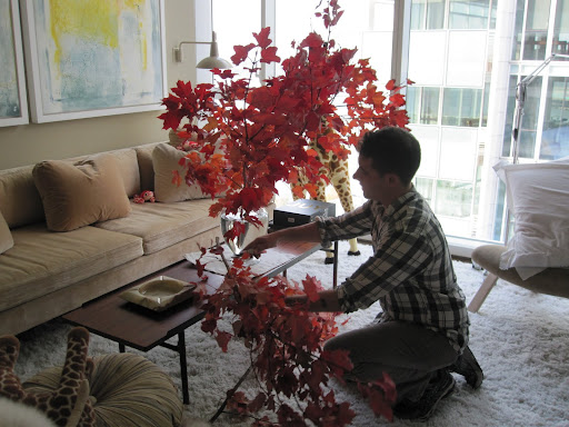 Tom begins to trim a few branches.