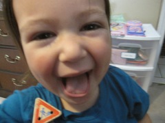 IMG_7993 IMG_7993