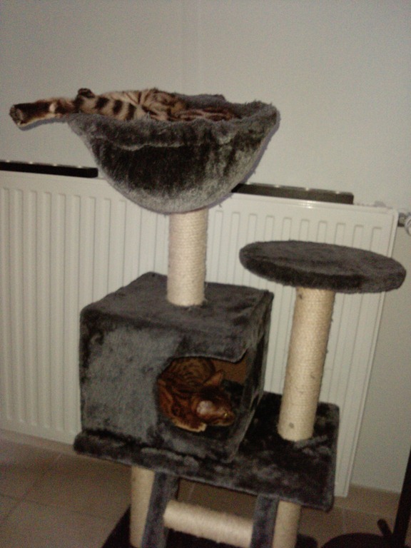 [P1716_14-02-13%255B6%255D.jpg]
