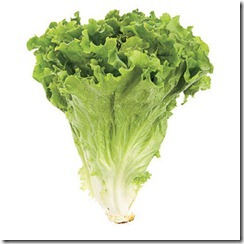 green-leaf-lettuce-0707-lgn
