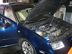 dz_dyno_day_07