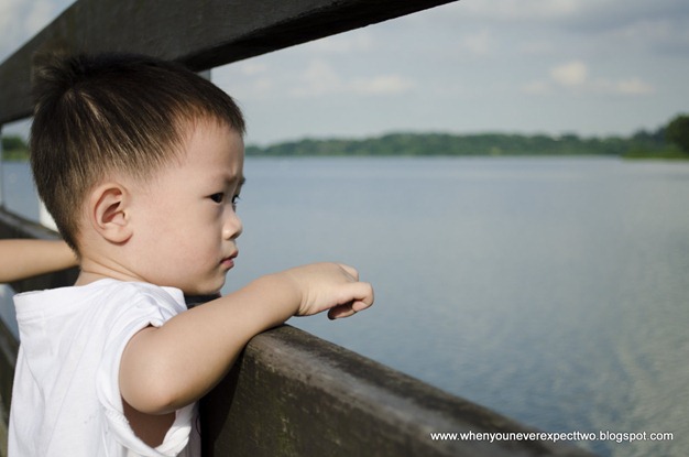 20110521_seletar reservoir (8 of 31)