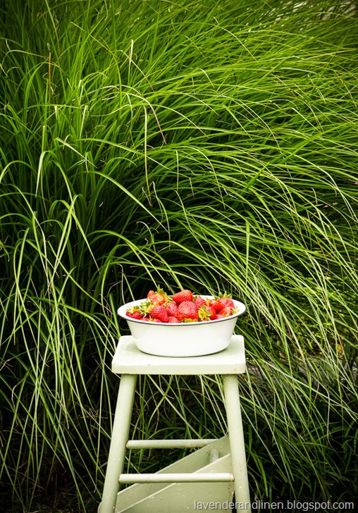 Vintage - Strawberries-008 Vintage - Strawberries-008