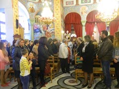 DSCN3534 DSCN3534