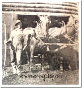 grandpah horses