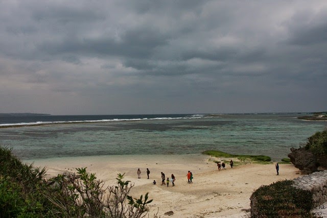 IMG_3074 IMG_3074