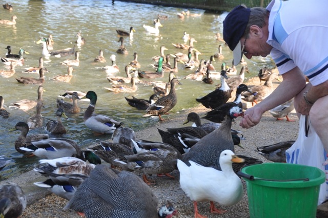 [DSC_0718%255B5%255D.jpg]