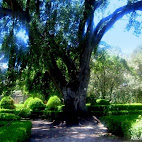 Jardim Bot&Atilde;&cent;nico da Ajuda