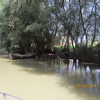IMG_5780.JPG
