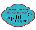 top.10.csi