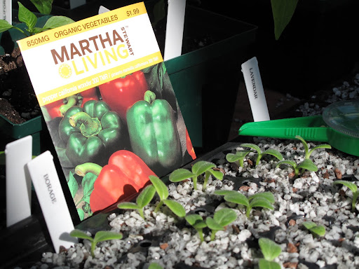 And here's proof!  Seed packets and plant markers.