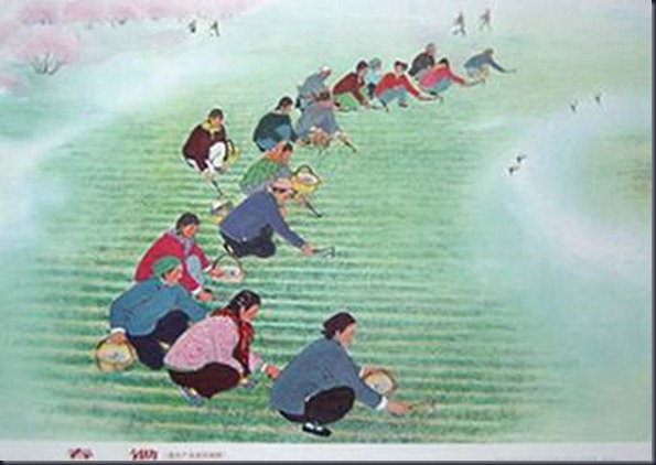 clip_image014 clip_image014