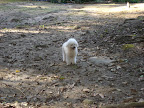 DSC05032.jpg DSC05032.jpg