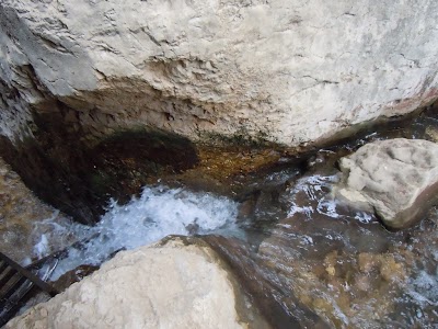 DSCN3993.jpg