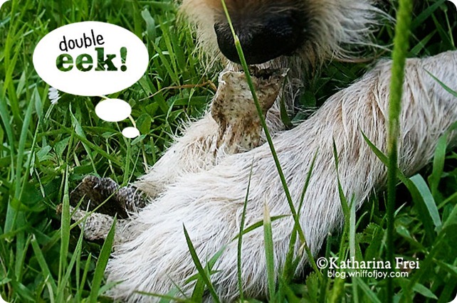 EekOfTheWeek4_1 EekOfTheWeek4_1