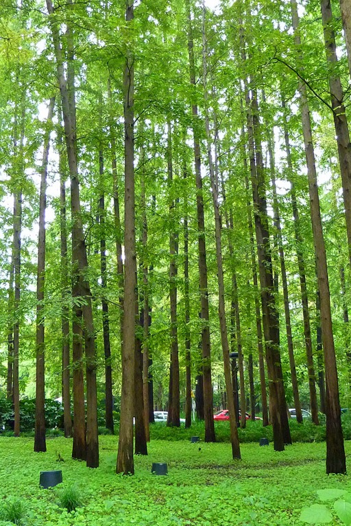 [P109087015.jpg]