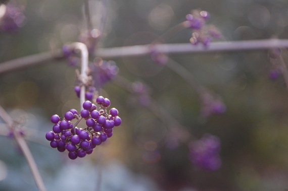 [DSC_00232.jpg]