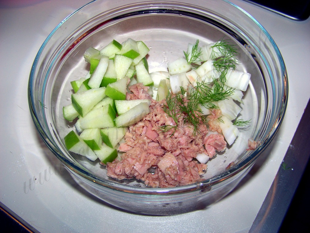 [pasta%2520fredda%2520allo%2520yogurt%2520mela%2520finocchio%2520tonno%2520ricetta%2520%25285%2529%255B5%255D.jpg]