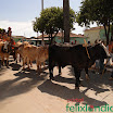 DesfiledeCarrosdeBois2011-040.jpg