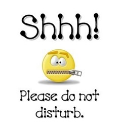 shhh-please-do-not-disturb-emoticon-graphic