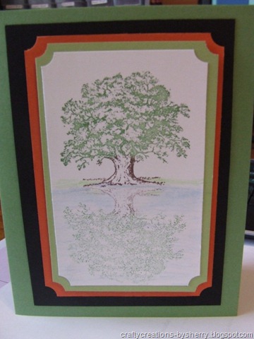 [reflectree%255B15%255D.jpg]