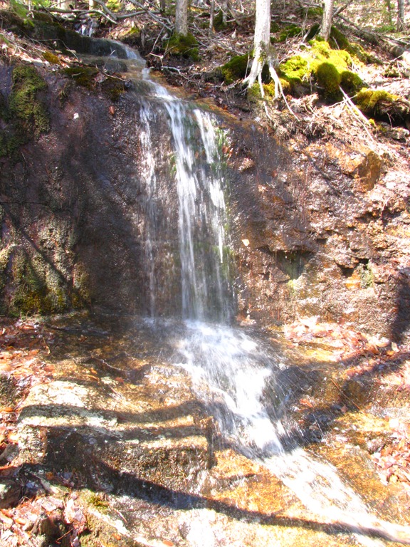 [IMG_5975%255B4%255D.jpg]