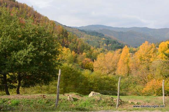 Parco Nazionale delle Foreste Casentinesi