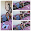 Chelsie_Hightower and Helio Collage 1.jpg