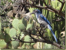 IMG_5365 IMG_5365
