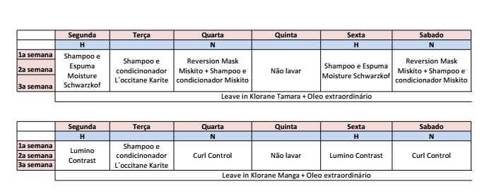 Como a Renata fez o Cronograma Capilar.