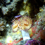 2009-04-19 mcabee beach