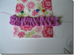 IMG_5335 IMG_5335