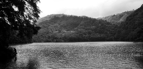 DSC_7683 DSC_7683