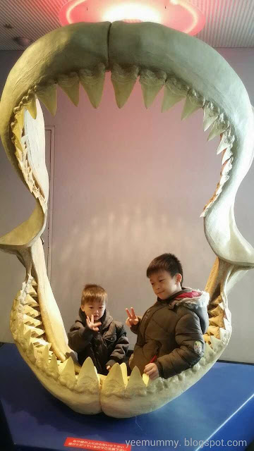 Osaka Aquarium Kaiyukan海游馆 Osaka Aquarium Kaiyukan海游馆