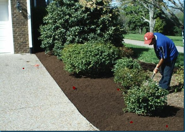 use_as_a_mulch_compost use_as_a_mulch_compost