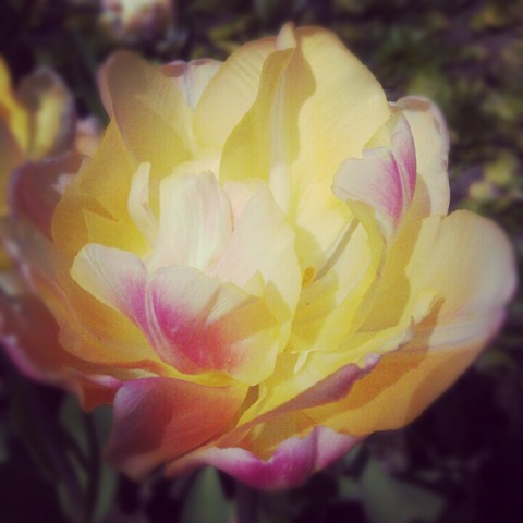 [IMG_20120520_140930%255B7%255D.jpg]