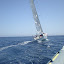 Palermo Montecarlo 2012 007.jpg