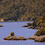 Many Tiny Islands in the Sound - Fjordland, New Zealand