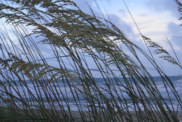 [Beach%2520Trip%25202011%2520128-1%255B4%255D.jpg]